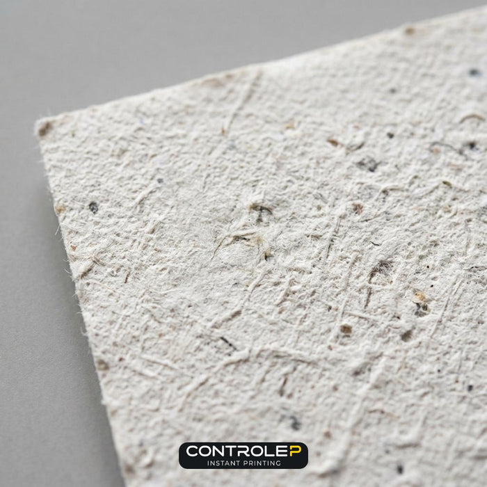 Papier en-tête Recyclé